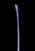 GRYPHON Gator 2025 Purple